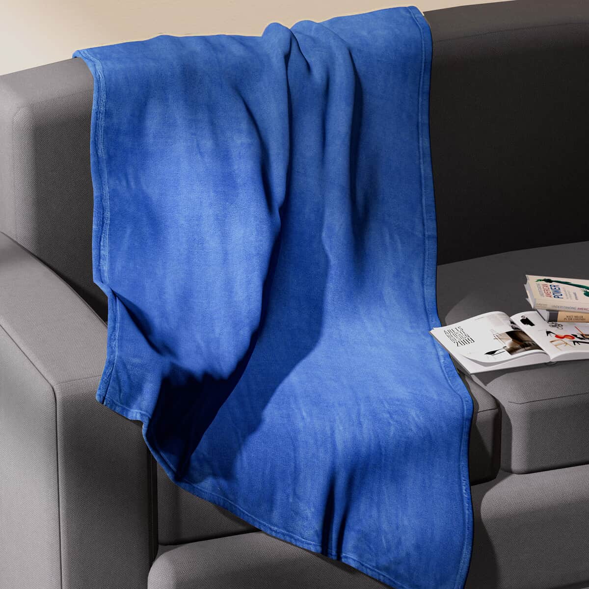 Homesmart Federal Blue Solid Coral Fleece Warmth and Soft Blanket image number 1
