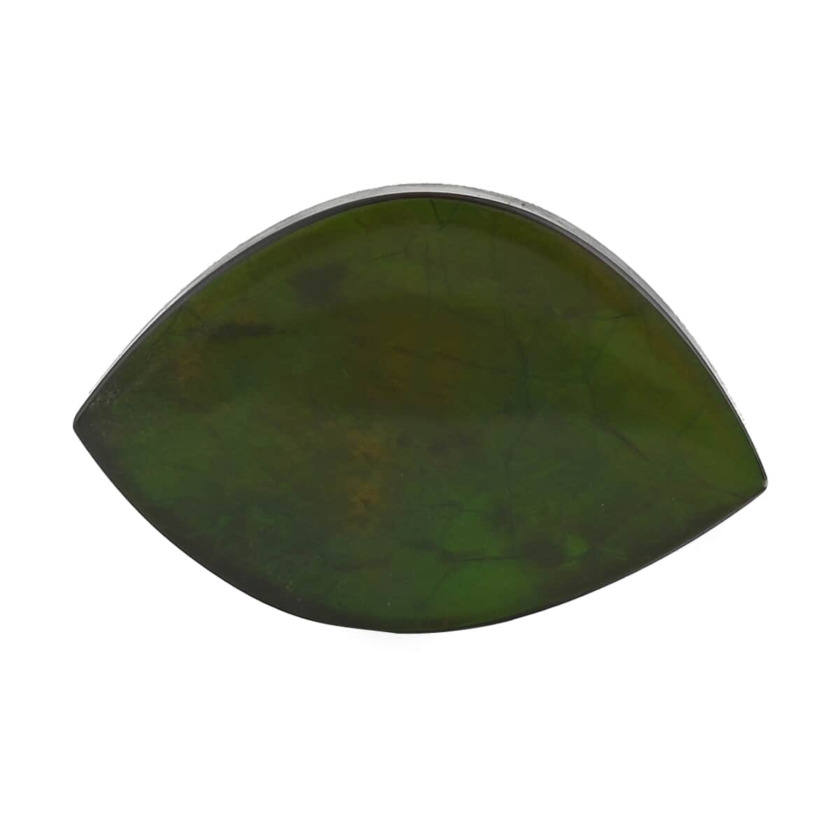 AAAA Canadian Ammolite (Free Free Plain Cut) 22.00 ctw image number 0