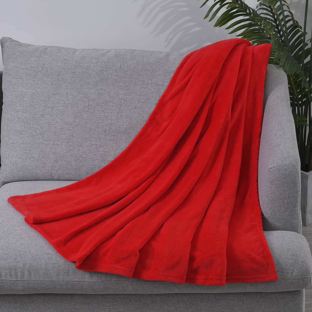 Homesmart Red Solid Super Soft and Warm Coral Fleece Blanket image number 0