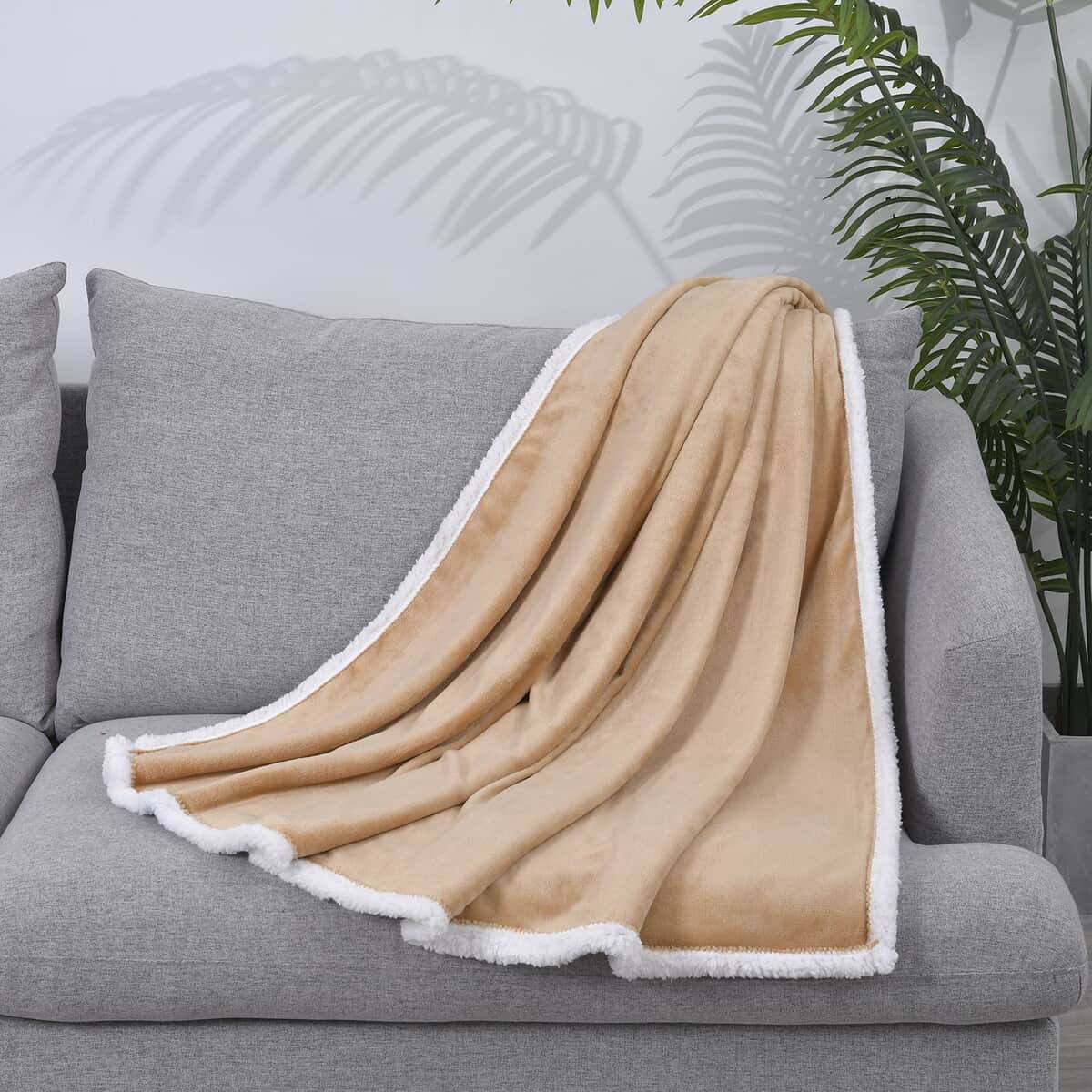 Homesmart Beige Microfiber Flannel with Sherpa Blanket image number 0