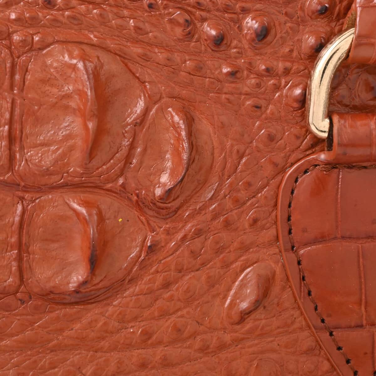 Grand Pelle Dark Brown Genuine Crocodile Leather Handbag image number 5