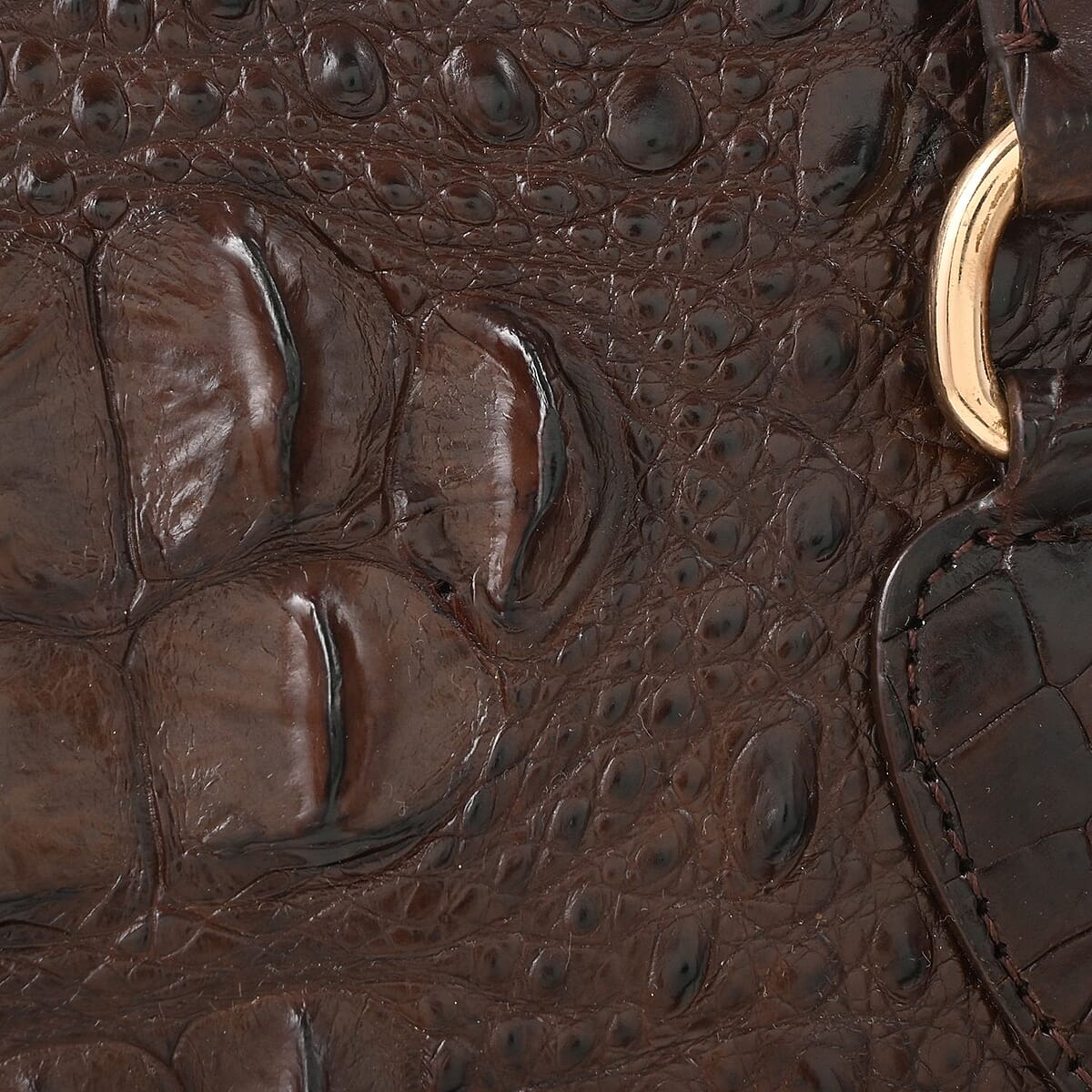 Grand Pelle Chocolate Genuine Crocodile Leather Handbag image number 5
