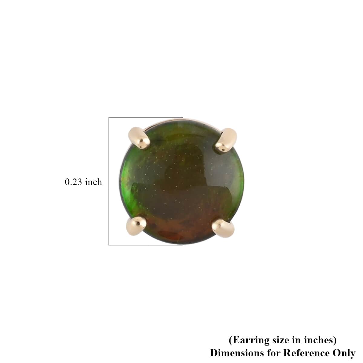 Luxoro 10K Yellow Gold Canadian Ammolite Solitaire Stud Earrings image number 3