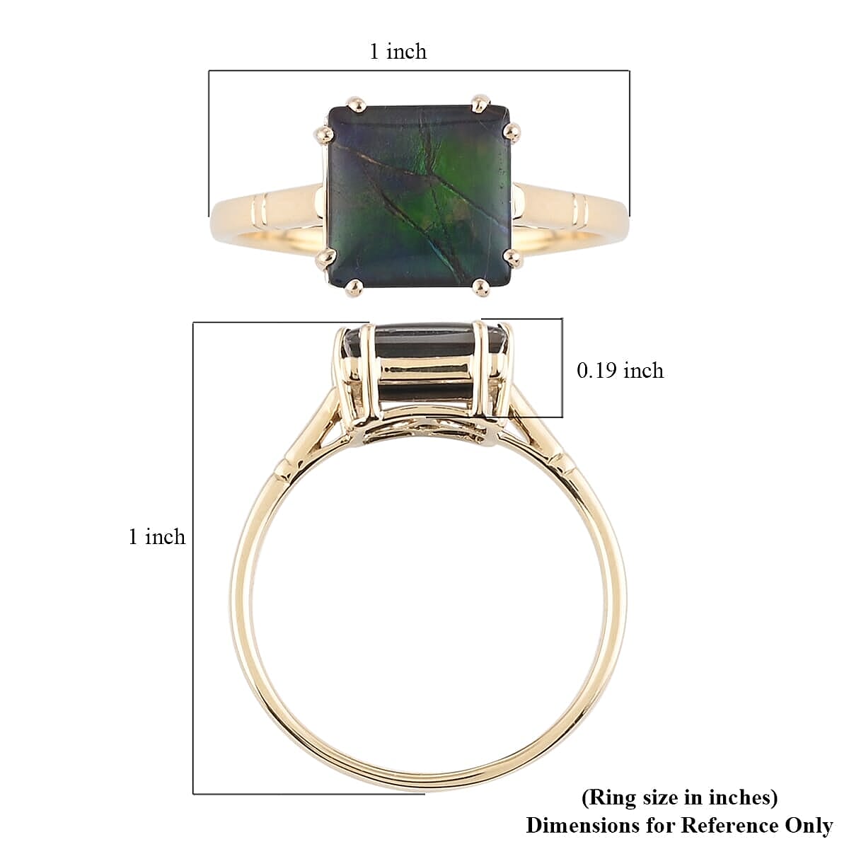 Luxoro AAA Canadian Ammolite Solitaire Ring | Certified Ammolite Ring | 10K Yellow Gold Ring | Gold Solitaire Ring | Wedding Ring
