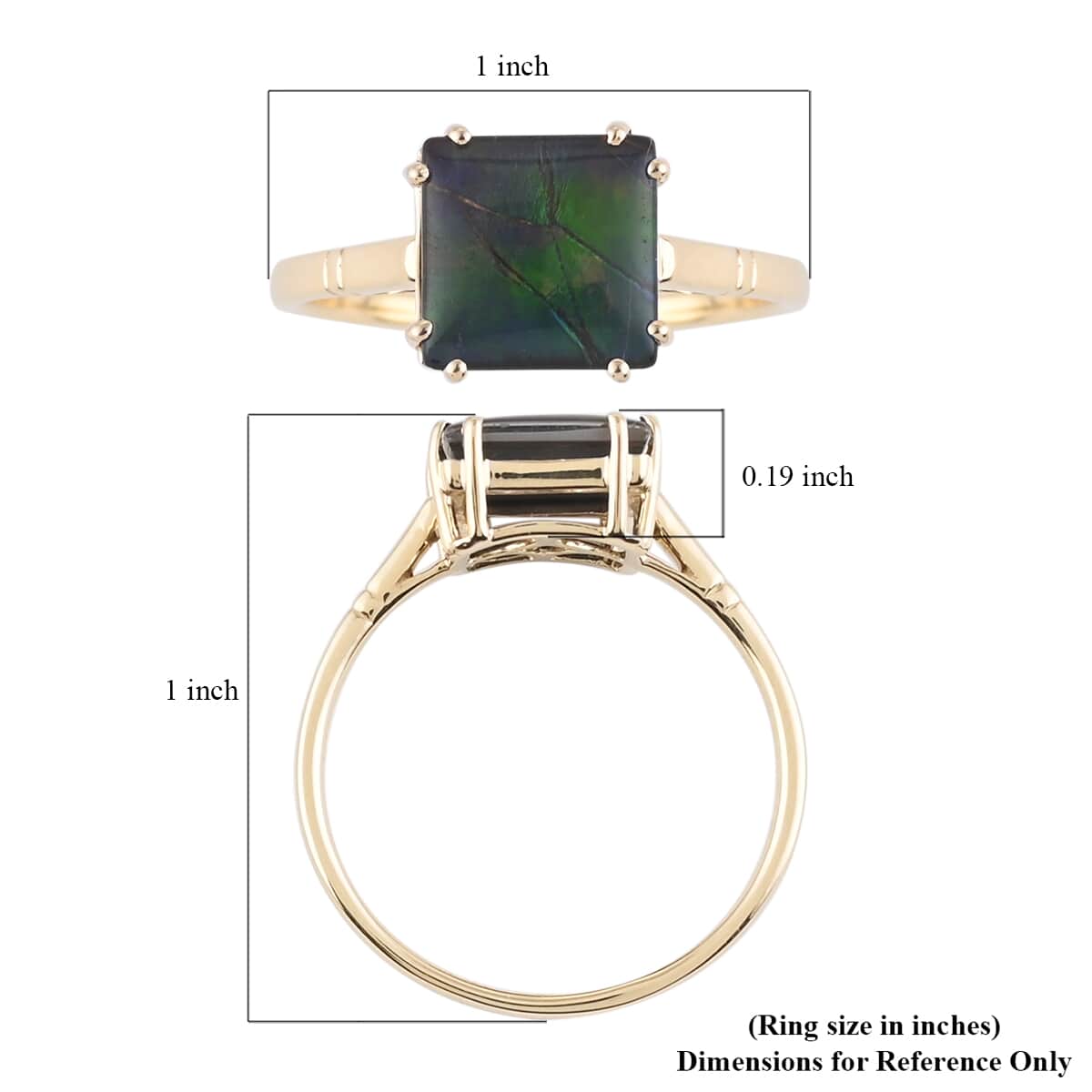 Certified & Appraised LUXORO 10K Yellow Gold AAA Canadian Ammolite Solitaire Ring 2.20 Grams 2.50 ctw image number 4