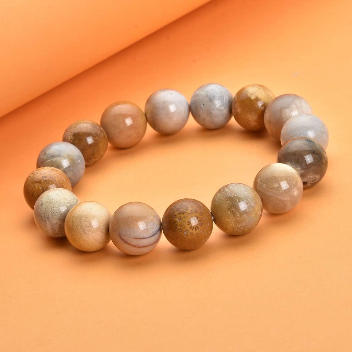 Fossil Coral 12-14mm Beaded Stretch Bracelet 269.00 ctw image number 1
