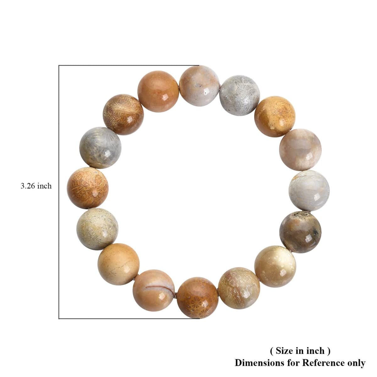 Fossil Coral 12-14mm Beaded Stretch Bracelet 269.00 ctw image number 2