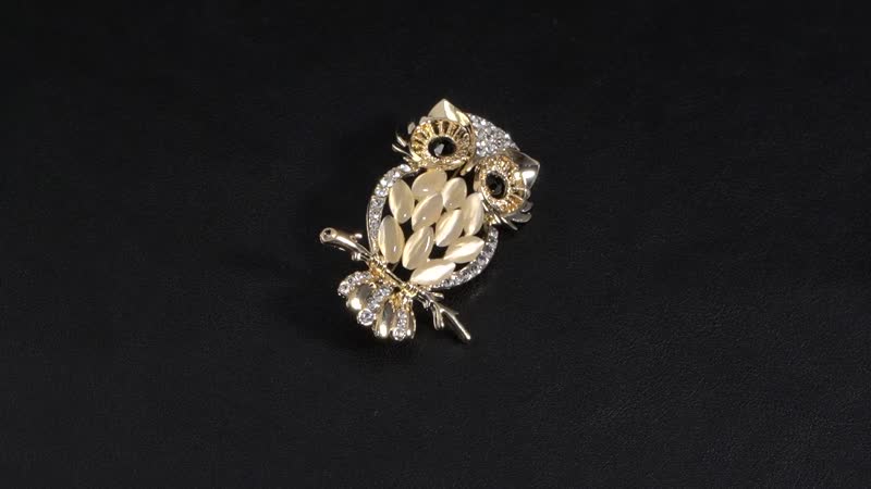 Set of 2 Multi Color Austrian Crystal Bee & Fly Brooch in Goldtone