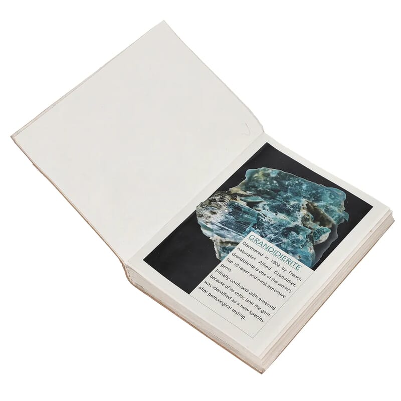Leather Paper Diary, Pen with Extra Refill and Key Chain