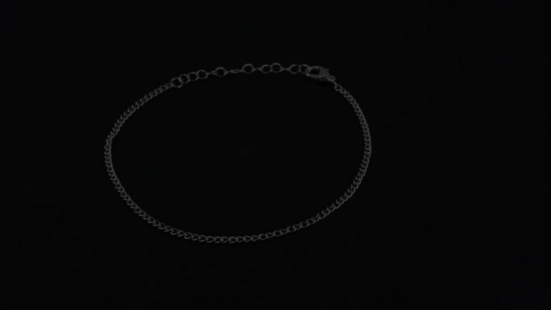 Blue Austrian Crystal, Enameled Set of 3 Charms Anklet 10-12 Inches in Silvertone