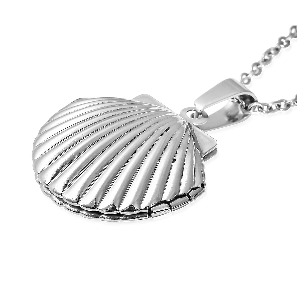 Sea Shell - Product card gallery slide 4 (10144527679771)