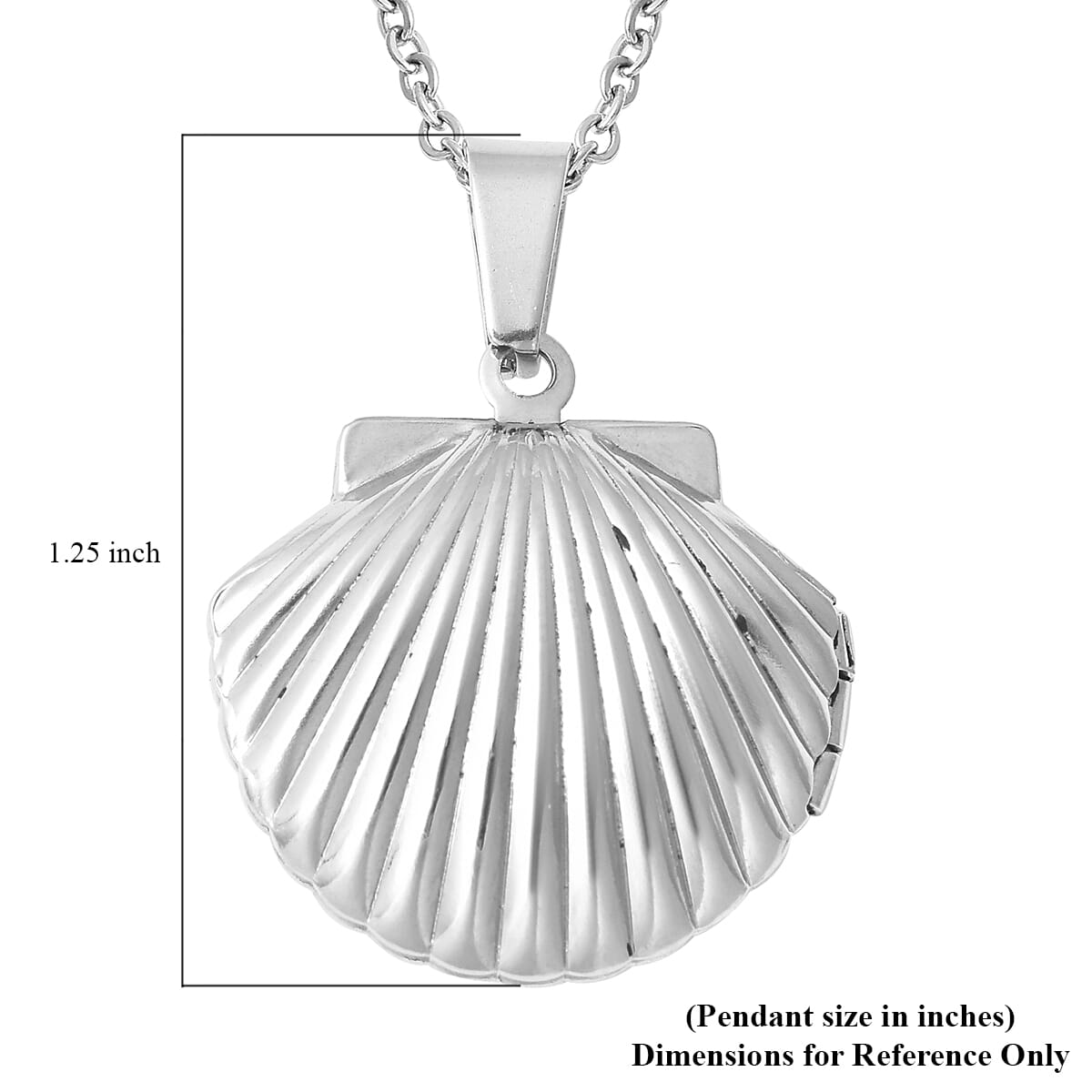 Openable Sea Shell Pendant Necklace (20 Inches) in Stainless Steel image number 4