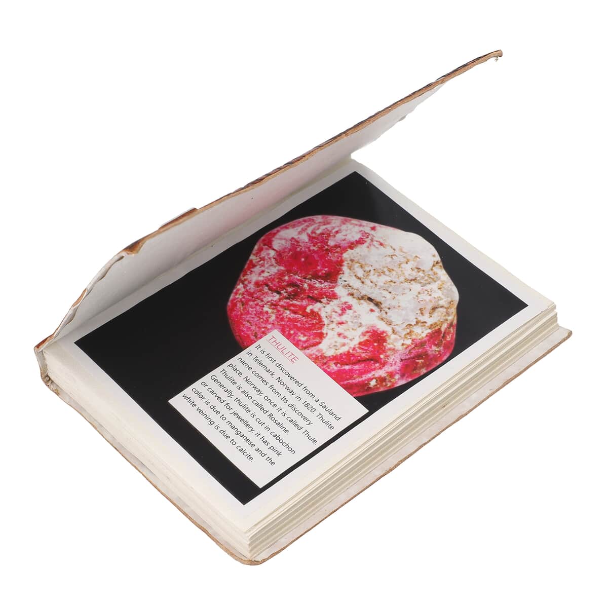 Hand-embossed Tree of life Genuine Leather Diary with Handmade Papers & Thulite filled Ball Pen with Extra Refill image number 3