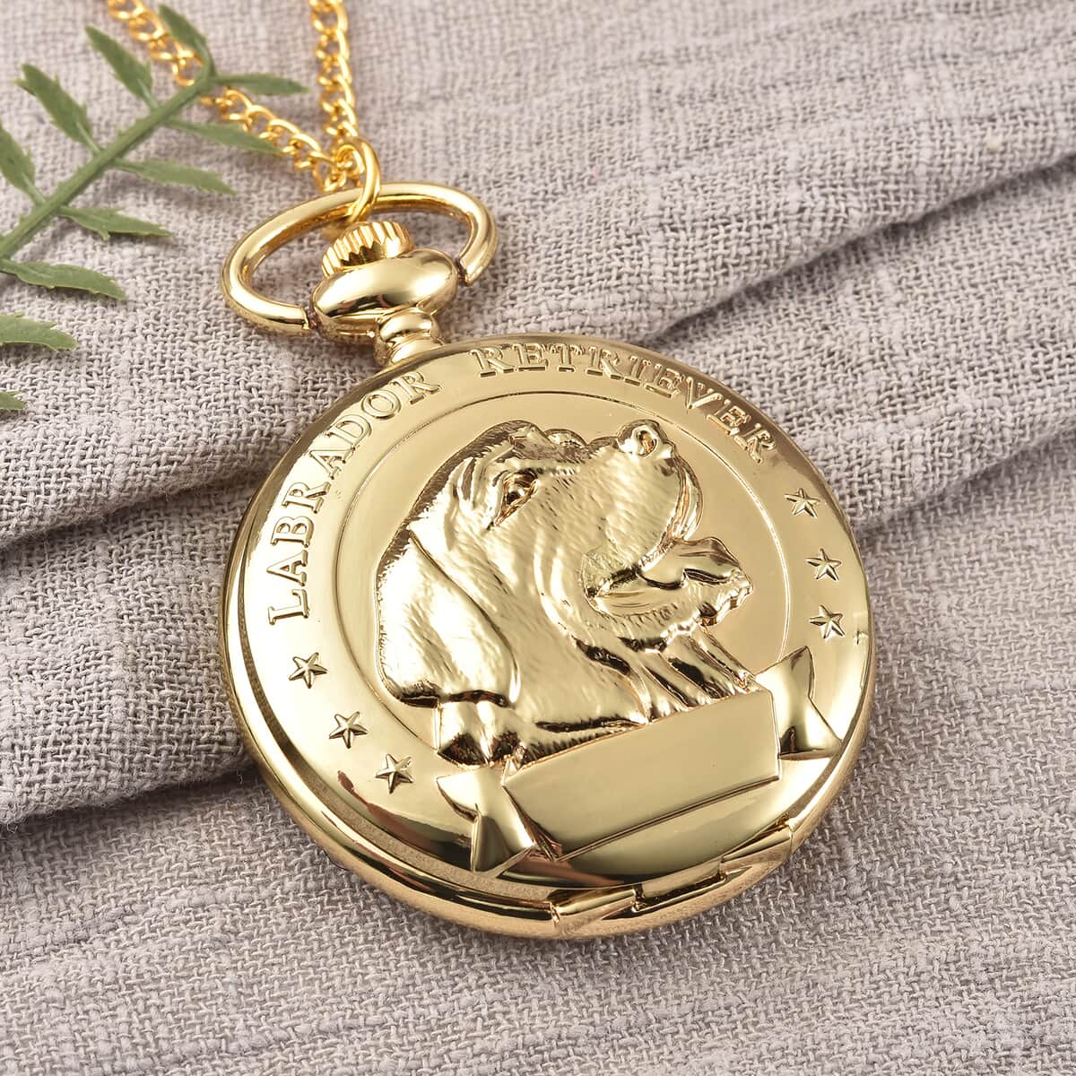 Strada Japanese Movement Labrador Pocket Watch in Goldtone with Chain (31 Inches) image number 1