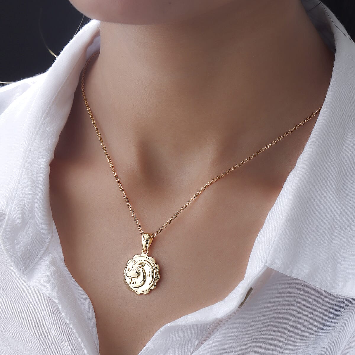 Karis Capricorn Zodiac Pendant Necklace 20 Inches in 18K YG Plated and ION Plated Yellow Gold Stainless Steel image number 1