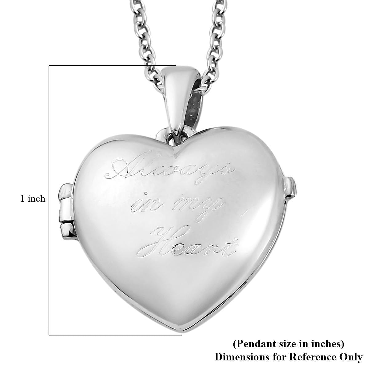 Karis Heart Openable Pendant Necklace 20 Inches in Platinum Bond with Stainless Steel