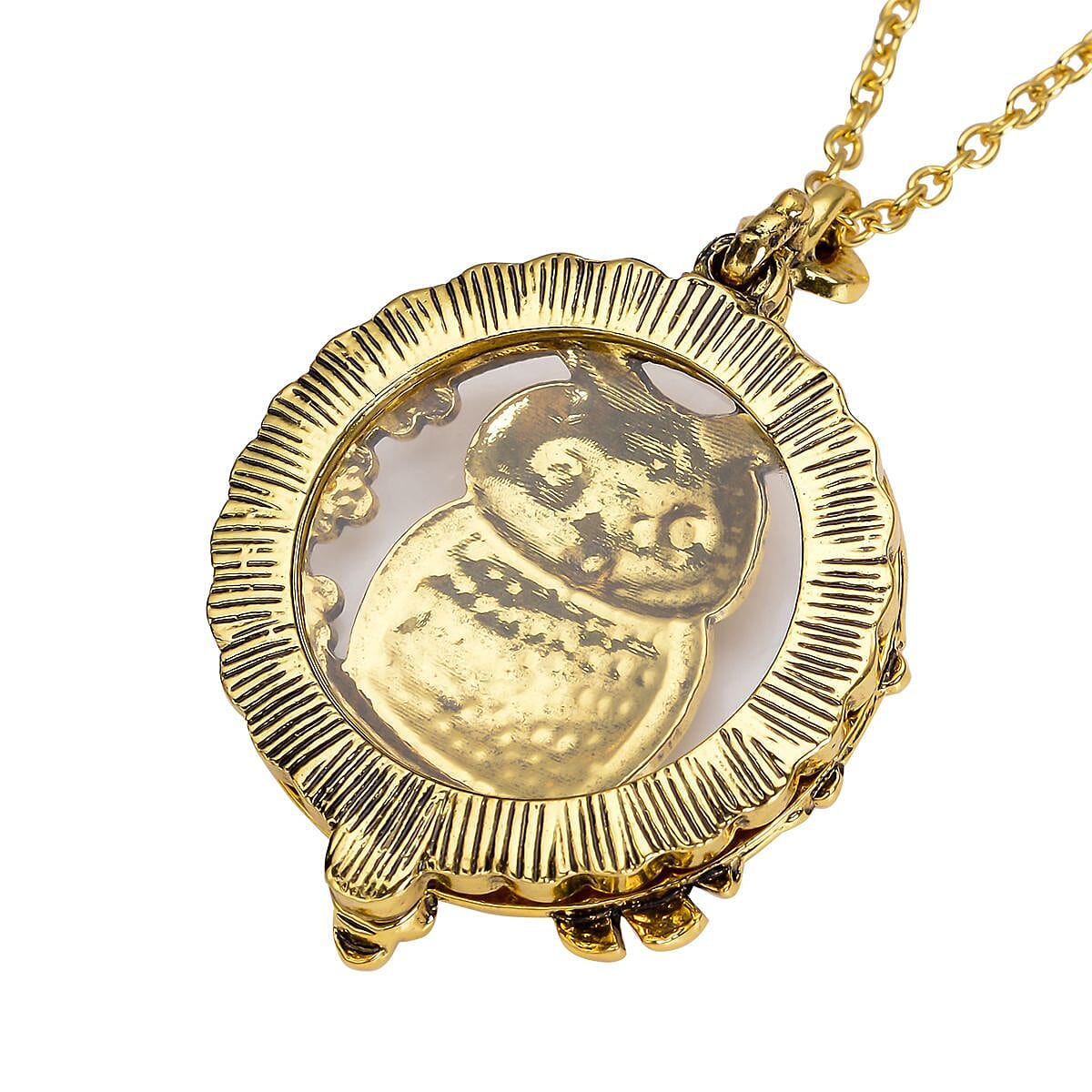 Owl Inspired Magnifying Glass Pendant Necklace 28-30 Inches in Goldtone image number 4