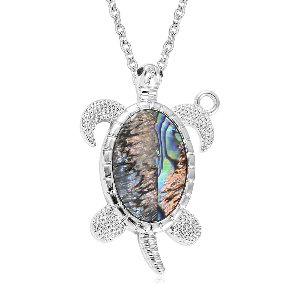 Abalone Shell Turtle Pendant Necklace 18 Inches in Silvertone image number 0