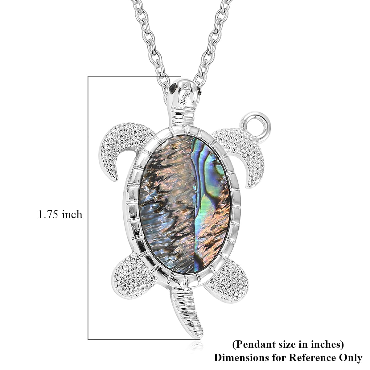 Turtle - Product card gallery slide 4 (9431434559743)