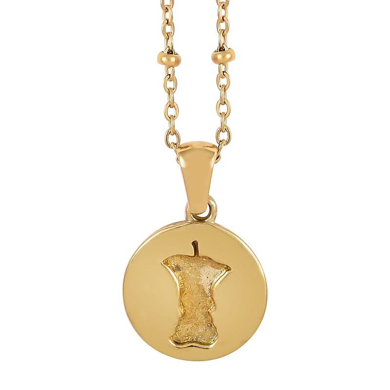 No Kid Hungry Embossed Logo Coin Pendant Necklace (18 Inches) in ION Plated YG Stainless Steel , Tarnish-Free, Waterproof, Sweat Proof Jewelry