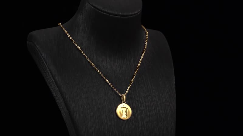 Bite Apple Engraved Coin Pendant Necklace (18 Inches) in Stainless Steel