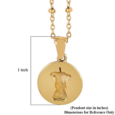 No Kid Hungry Embossed Logo Coin Pendant Necklace (18 Inches) in ION Plated YG Stainless Steel , Tarnish-Free, Waterproof, Sweat Proof Jewelry