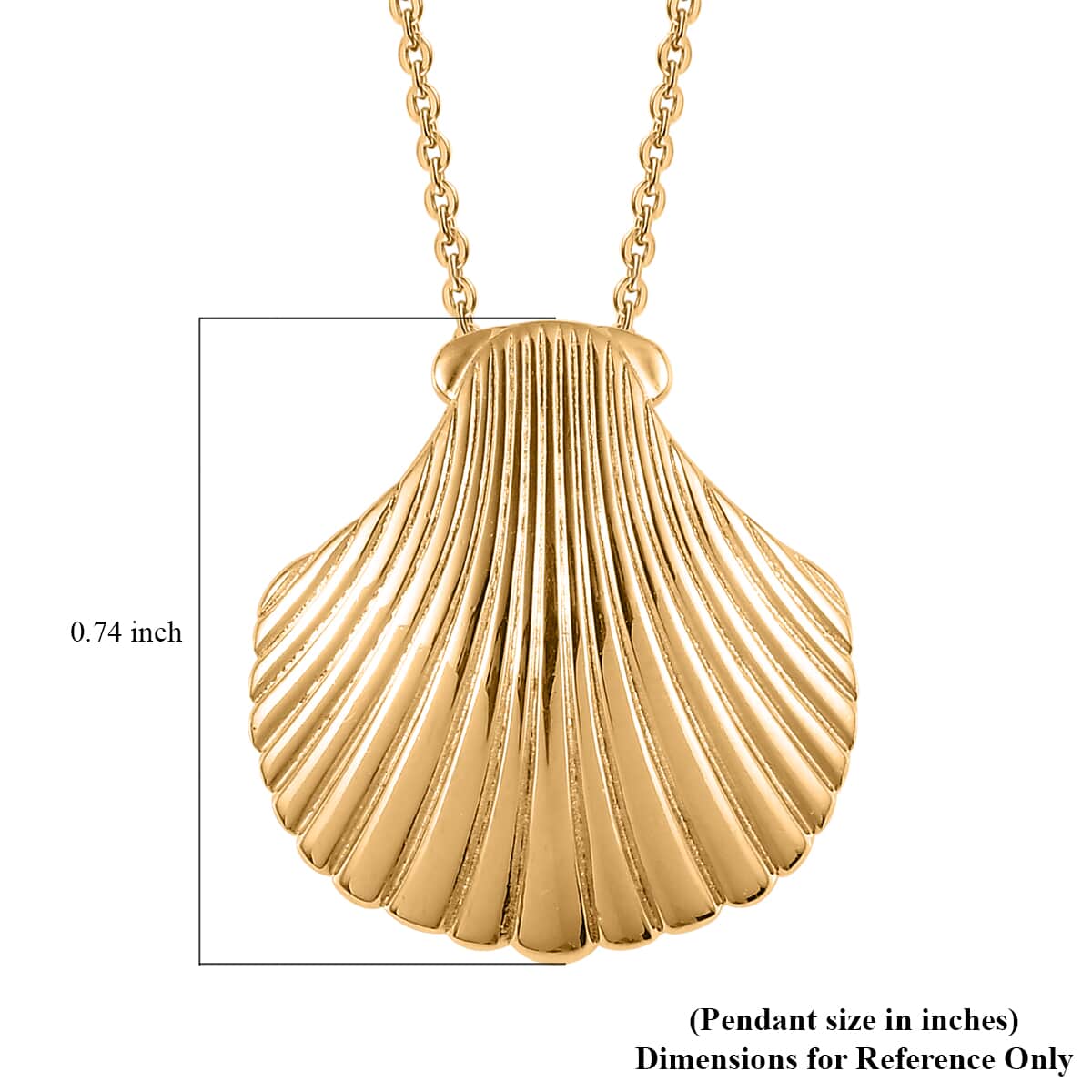 Vermeil Yellow Gold Over Sterling Silver Sea Shell Pendant Necklace 20 Inches 4.65 Grams image number 6