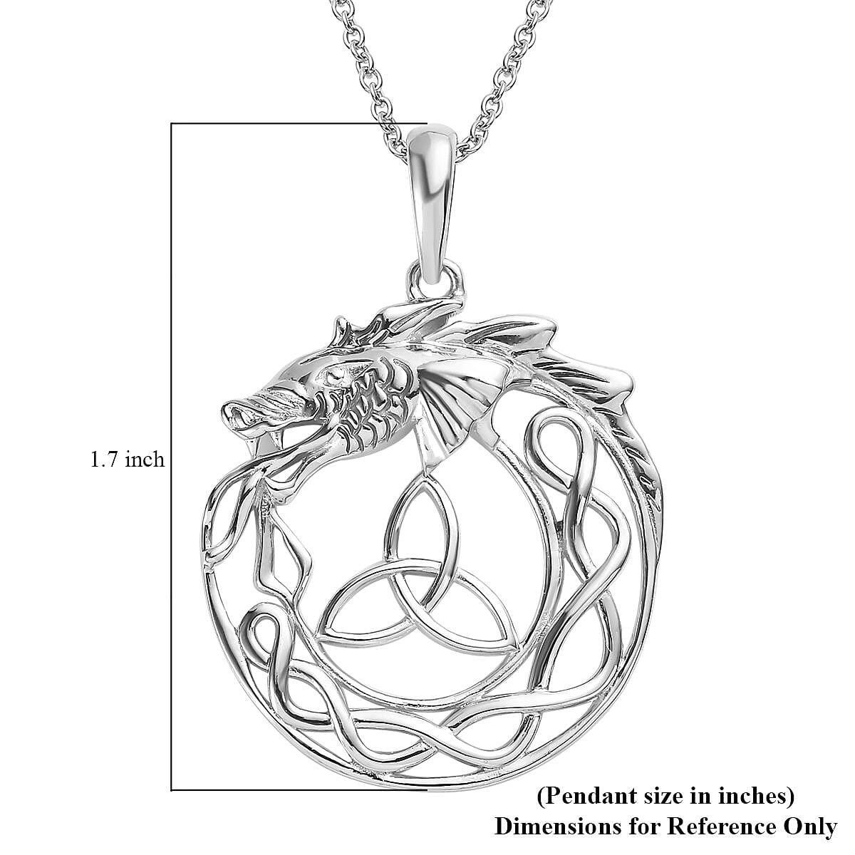 Karis Dragon Pendant Necklace (20 Inches) in Platinum Bond and Stainless Steel , Tarnish-Free, Waterproof, Sweat Proof Jewelry
