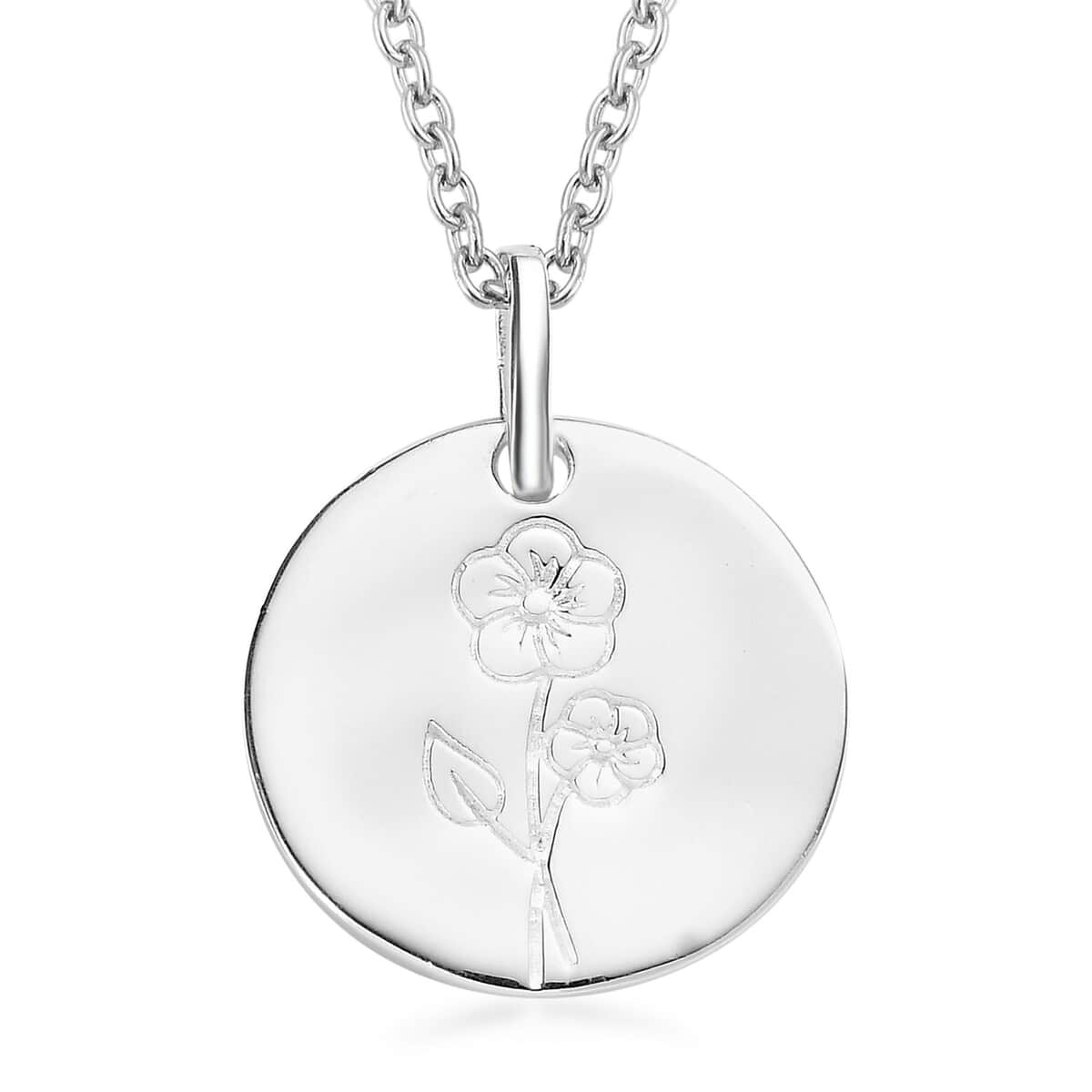 Pendant in Sterling Silver with Stainless Steel Necklace 20 Inches image number 0