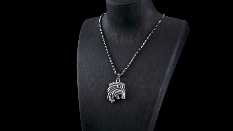 Compass Look Pendant Necklace 27.5 Inches in Black Oxidized Stainless Steel