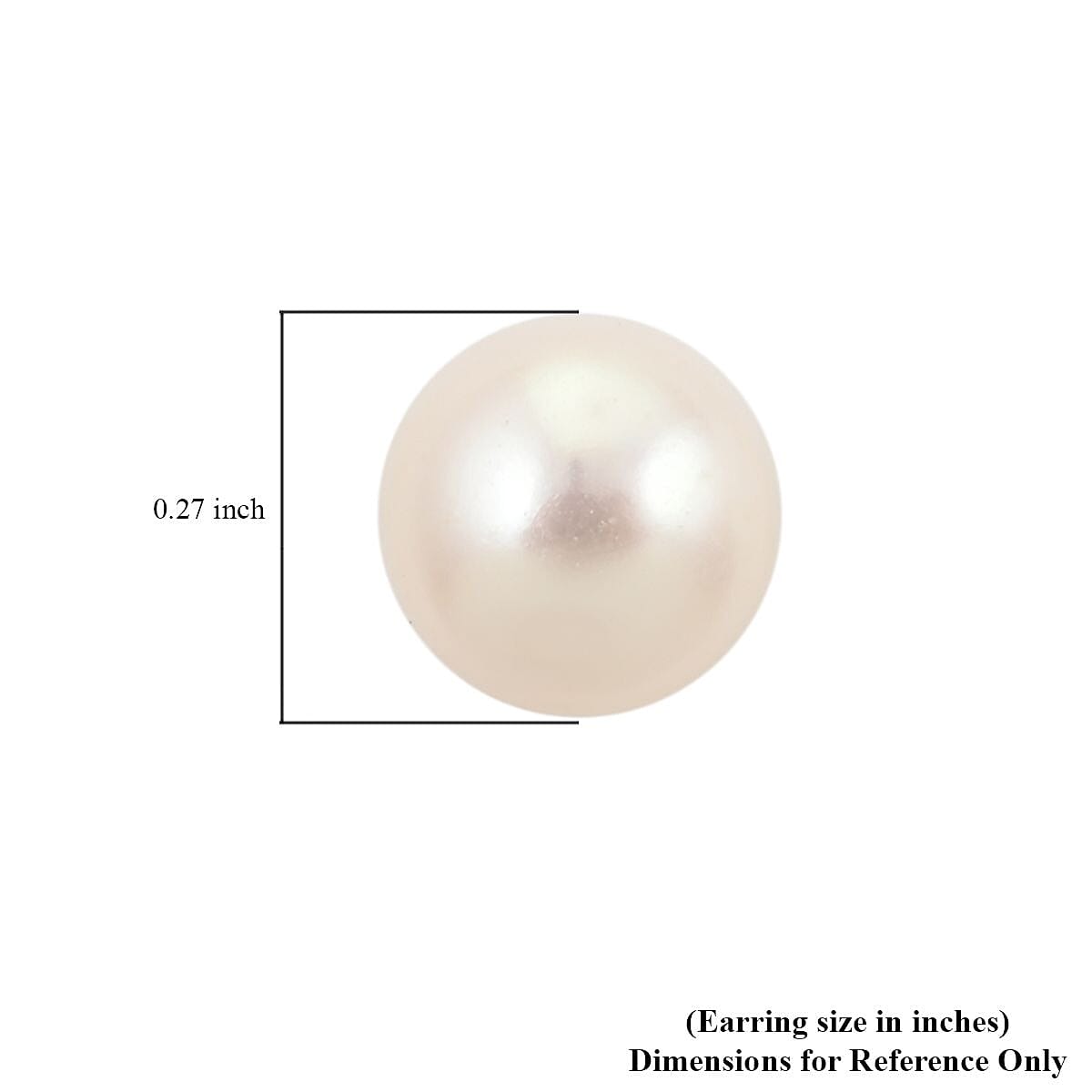 Mother Of Pearl and White Freshwater Pearl Ring (Size 6.0) and Earrings in Stainless Steel