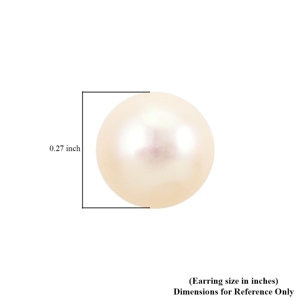 Mother Of Pearl and Fresh Water Pearl Ring (Size 6.0) and Earrings in ION Plated YG Stainless Steel image number 7