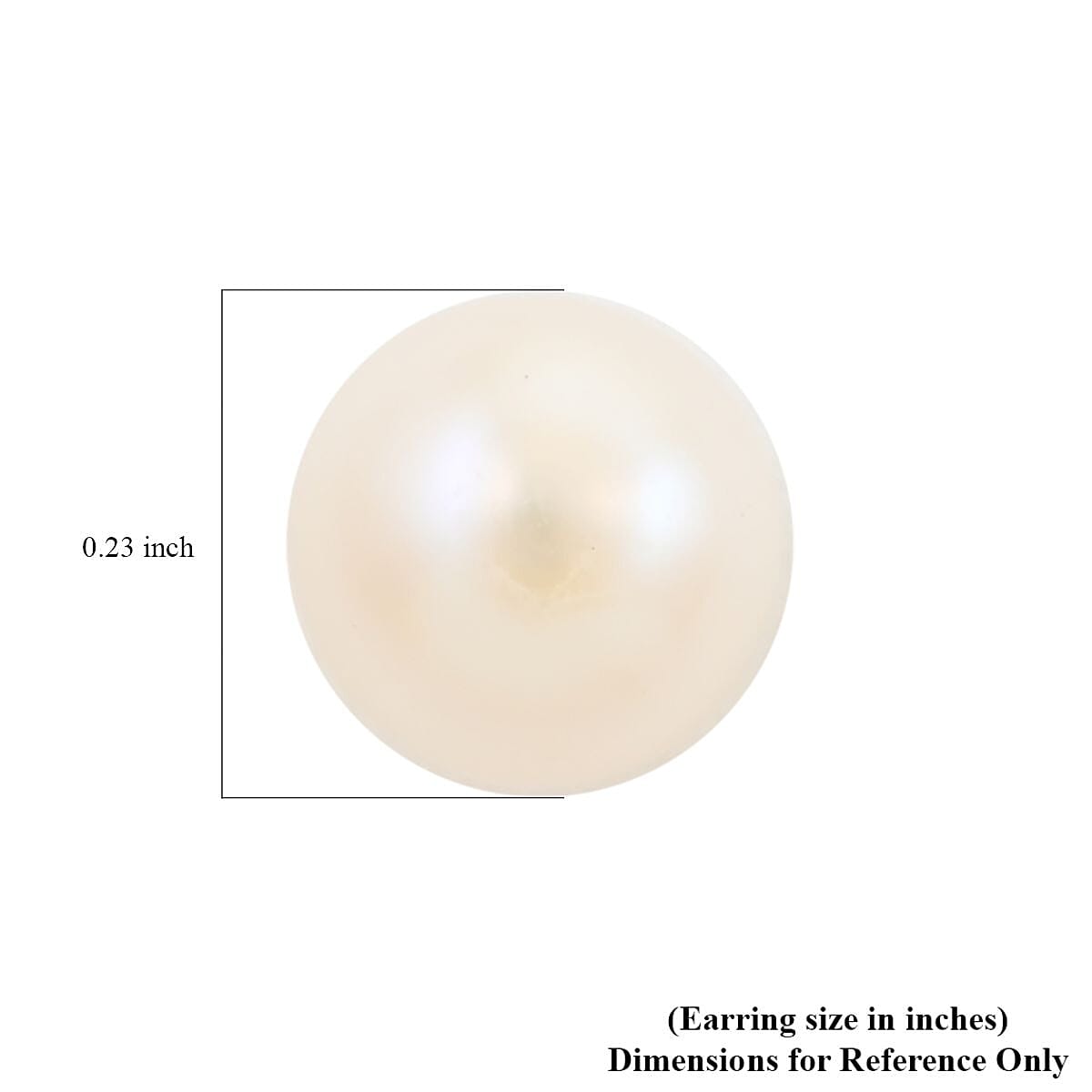 Freshwater Cultured Pearl Bracelet (7.00 In) and Stud Earrings in ION Plated YG Stainless Steel