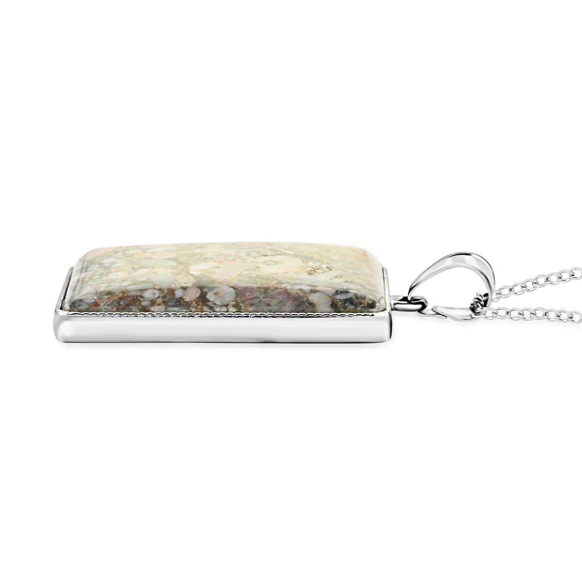 Insect Fossil Jasper Rectangle Pendant Necklace 18 Inches in Silvertone 17.70 ctw image number 3
