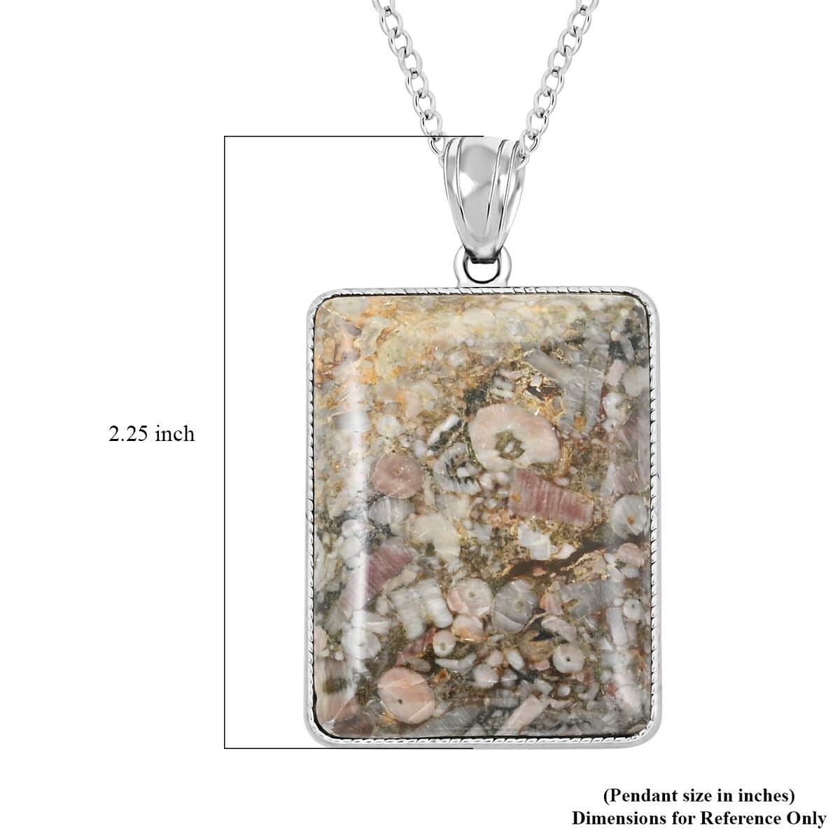 Insect Fossil Jasper Rectangle Pendant Necklace 18 Inches in Silvertone 17.70 ctw image number 5
