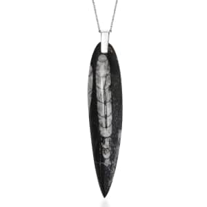 Karis Orthoceras 101.25 ctw Pendant in Platinum Bond with Stainless Steel Necklace 20 Inches