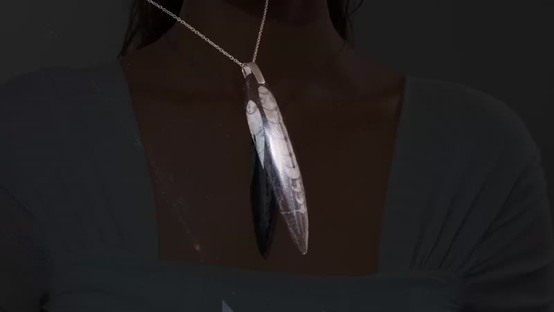 Karis Orthoceras 101.25 ctw Pendant in Platinum Bond with Stainless Steel Necklace 20 Inches
