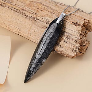 Karis Orthoceras 101.25 ctw Pendant in Platinum Bond with Stainless Steel Necklace 20 Inches