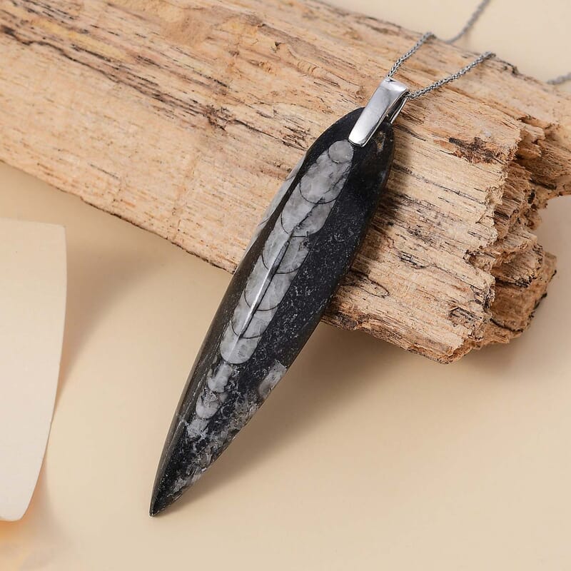 Karis Orthoceras 101.25 ctw Pendant in Platinum Bond with Stainless Steel Necklace 20 Inches