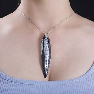 Karis Orthoceras 101.25 ctw Pendant in Platinum Bond with Stainless Steel Necklace 20 Inches