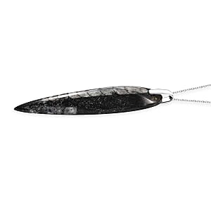 Karis Orthoceras 101.25 ctw Pendant in Platinum Bond with Stainless Steel Necklace 20 Inches