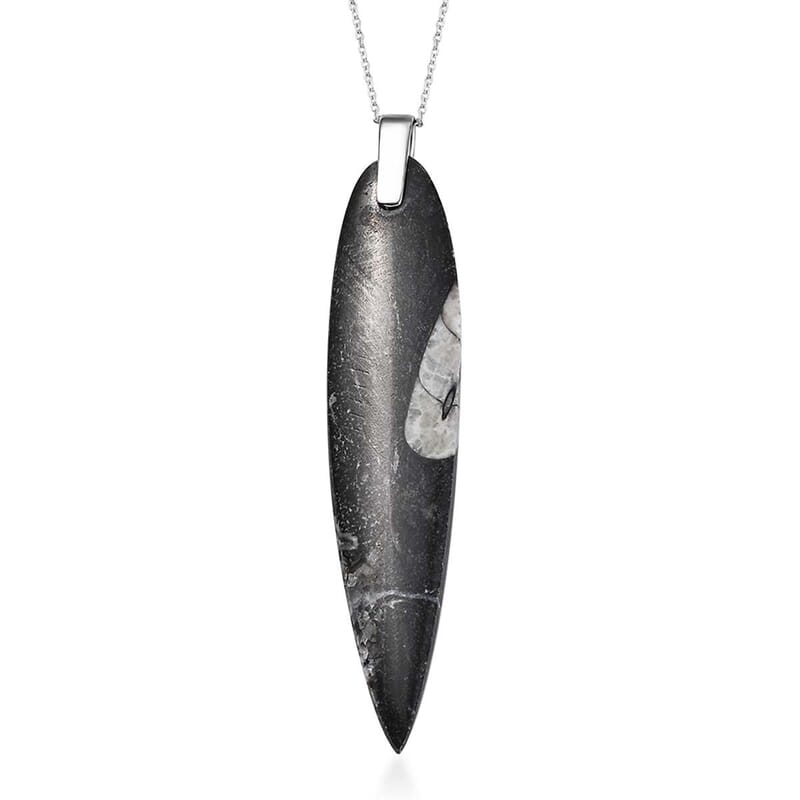 Karis Orthoceras 101.25 ctw Pendant in Platinum Bond with Stainless Steel Necklace 20 Inches