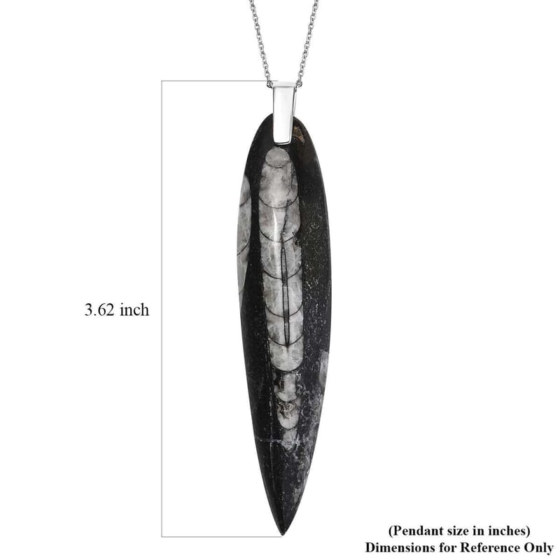 Karis Orthoceras 101.25 ctw Pendant in Platinum Bond with Stainless Steel Necklace 20 Inches