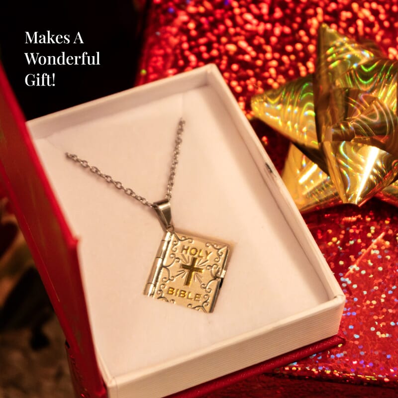 Set of 2 Bible Pendant Necklace (24 Inches) in ION Plated YG and Steel