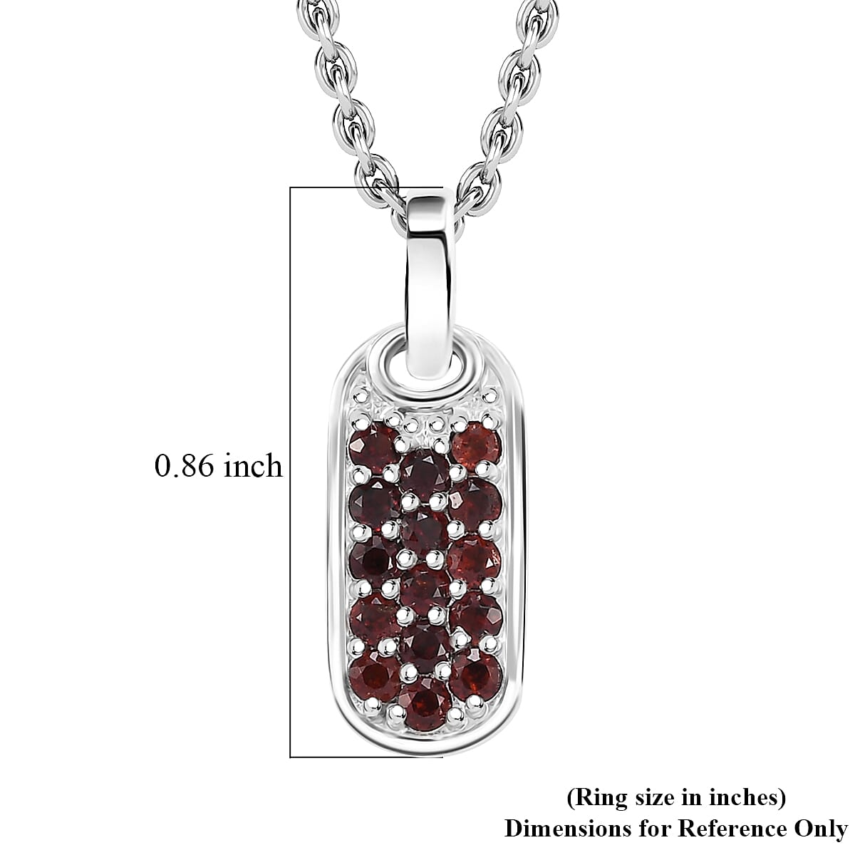 Karis Mozambique Garnet 0.75 ctw Pendant in Platinum Bond with Stainless Steel Necklace 24 Inches