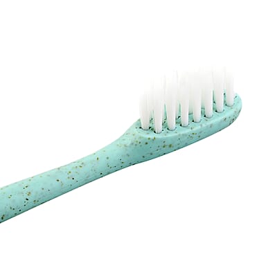 SayAh 2 Pack  Yellow Stainless Steel Tongue Scraper, OliviaLayne 6 Pack Assorted Colors Biodegradable Toothbrushes