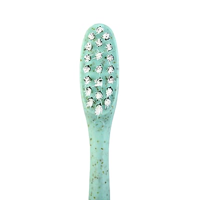 SayAh 2 Pack  Yellow Stainless Steel Tongue Scraper, OliviaLayne 6 Pack Assorted Colors Biodegradable Toothbrushes