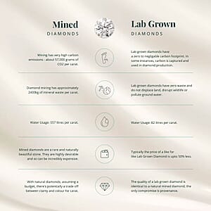 Diamond VS Accent Floral Pendant in Sterling Silver with Stainless Steel Necklace (20 Inches)