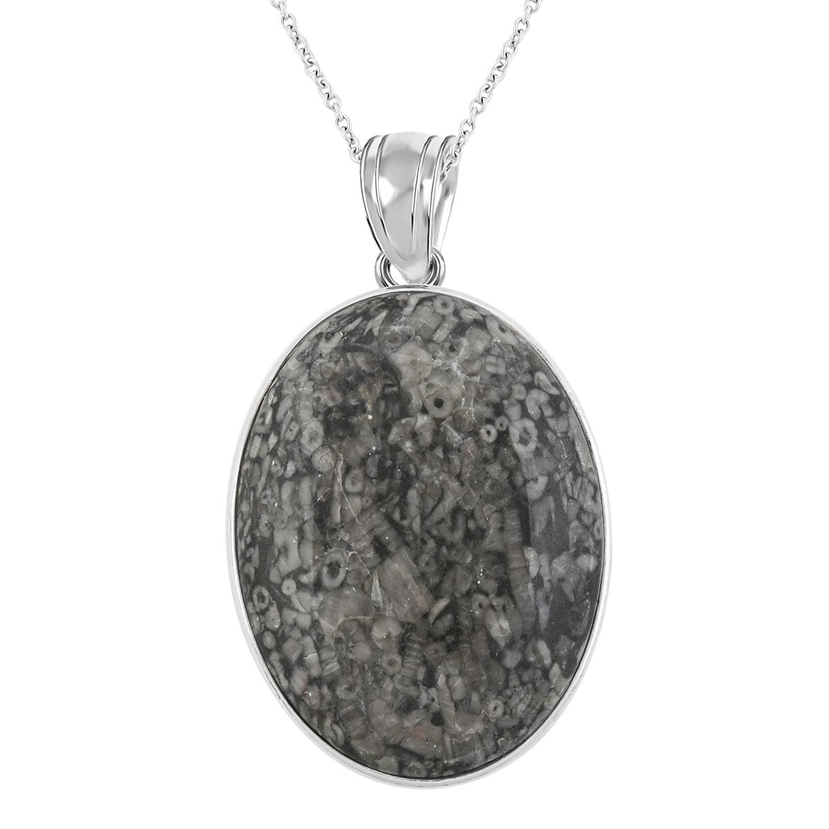 Plain Oval Inlay Frame Hand-Polished Fossil Insect Jasper 67.00 ctw Pendant in Silvertone with Stainless Steel Necklace (20 Inches) image number 0
