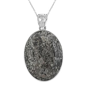 Plain Oval Inlay Frame Hand-Polished Fossil Insect Jasper 67.00 ctw Pendant in Silvertone with Stainless Steel Necklace (20 Inches)